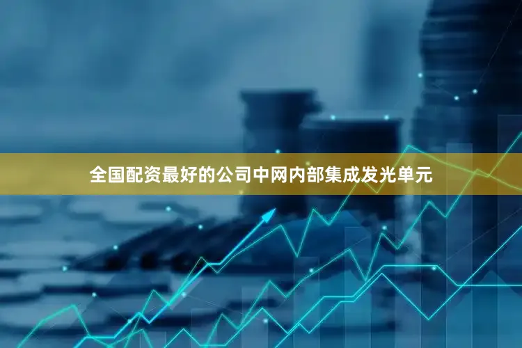 全国配资最好的公司中网内部集成发光单元