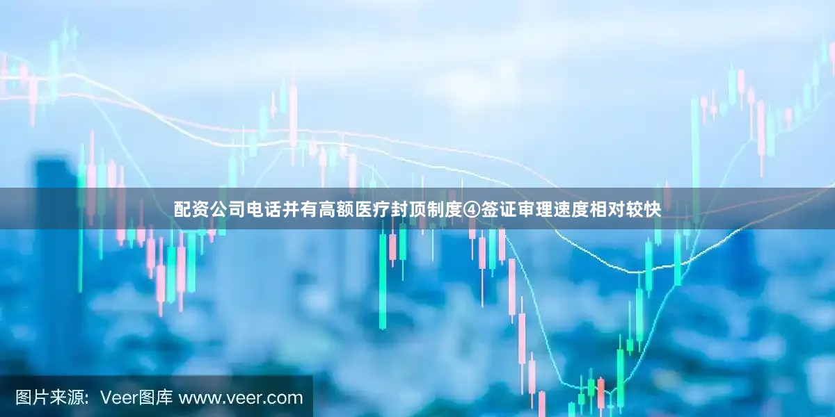 配资公司电话并有高额医疗封顶制度④签证审理速度相对较快