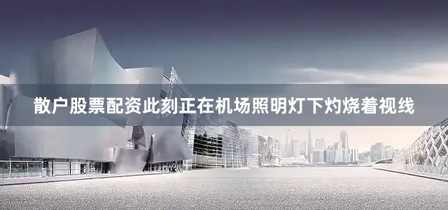 散户股票配资此刻正在机场照明灯下灼烧着视线