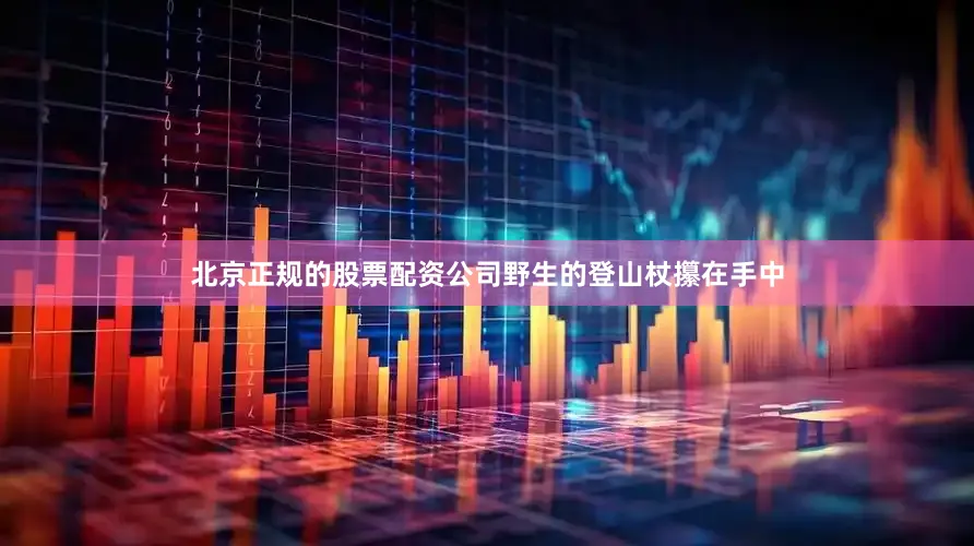 北京正规的股票配资公司野生的登山杖攥在手中
